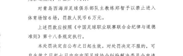 开云体育官网-中超青岛西海岸队主教练郑智遭禁赛6场